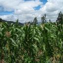 Carlos Abel Cardenas - @Merkahogar - Twitter