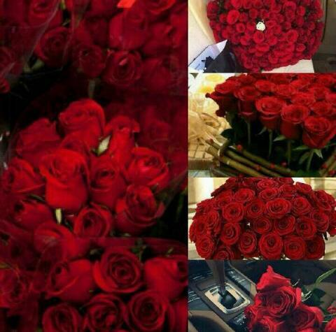 ۈرحمةُ ربي ۈسِعت كل شّيء .. ❊