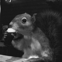 Vern Van Eekhoorn (@neighborvern) 's Twitter Profile