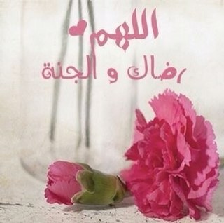 سبحان الله وبحمده سبحان الله العضييم