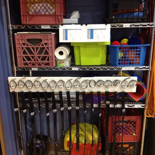 Physical Education Teacher at Park View Elementary