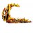 SalsaCalientita's profile image