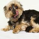 Trish Young - @PatriciaYoung65 - Twitter