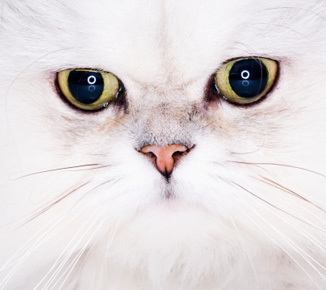 Denimmms's profile picture. sometime.. someone.. something.. someday.. just SOME !