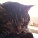 Pia Nilsson - @NilssonPiailund - Twitter