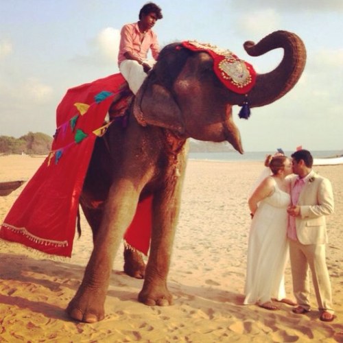 Emilylatham's profile picture. I Love adventure! ❤️