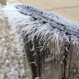 redhdz's profile picture. 