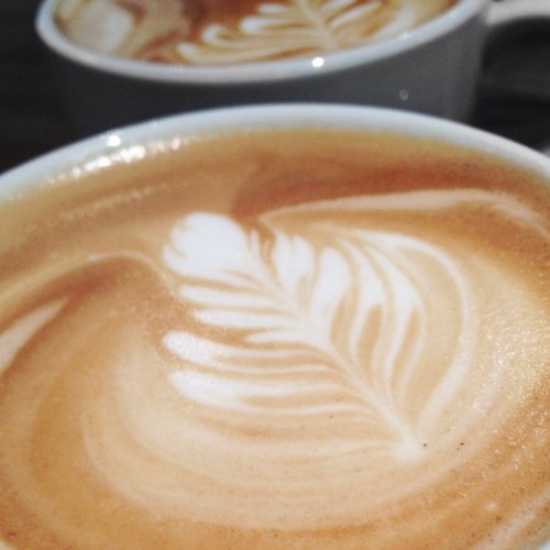 Chasing the best brews around, tweeting great coffee blogs and news...