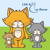 13th Street Cat Rescue is an all volunteer, no-kill, non-profit animal rescue based in San Jose, CA. Find us on Facebook: http://t.co/YQlnw5Yyw4