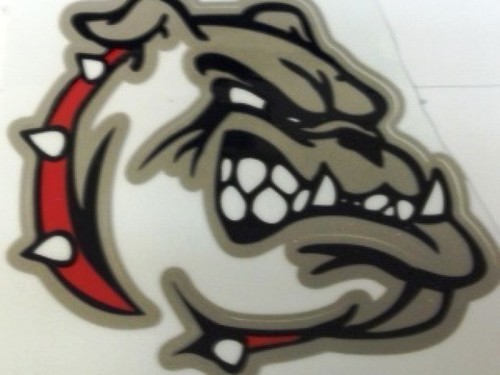 LeMars Bulldog Football!