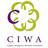 CIWA_yyc's profile image