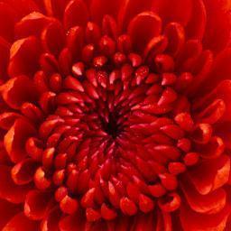 adricuttie's profile picture. I LOVE to PARTY!!