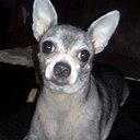 Norma Hammock - @lust4vamps - Twitter