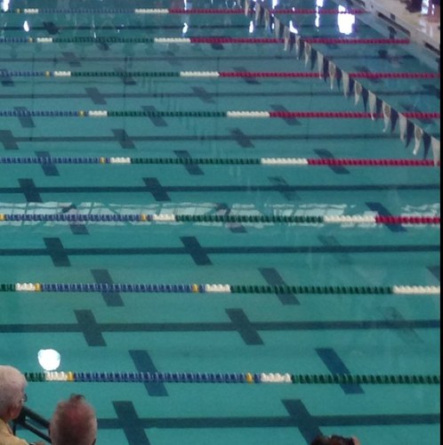 swimmamom's profile picture. 