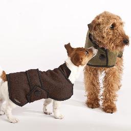 Pimp my paws is a new businesses which provides essential pet care products as well as fashion clothing and treats.