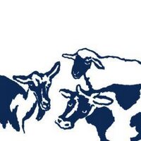 The Cheese Board (@cheeseboardcoll) 's Twitter Profile