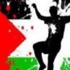 International Solidarity Movement (ISM)
Czech Republic group

https://t.co/LMt0JNvceL, follow also @IsmPalestine