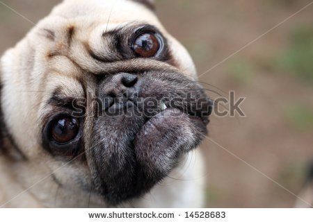 xoqamaqo's profile picture. 