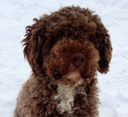 ForslundThomas's profile picture. 