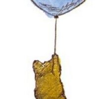 balloonarray (@balloonarray) 's Twitter Profile