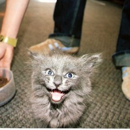 JackieMarciano's profile picture. 