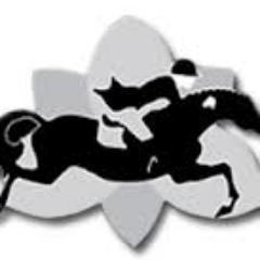 CWTprobs's profile picture. Central West Zone is the Best Zone! 
Rock on