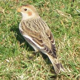 brian_talk21's profile picture. 