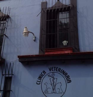 cemevesur's profile picture. A tu servicio por la salud y bienestar de tu mascota. 23 años nos respaldan. Atencion médica, estética canina y felina, hospital, rayos x y más...
Tel. 56581377