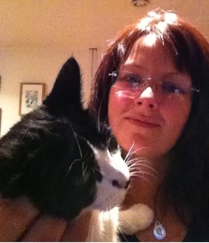 angephillips25's profile picture. 