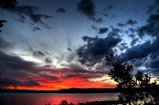 OspreyFlorida's profile picture. Lifelong Florida resident.  Still here as no one has yet told me I could leave.