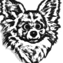 patricia neubert - @BigPneub - Twitter