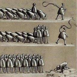 ExitosaCollins's profile picture. 