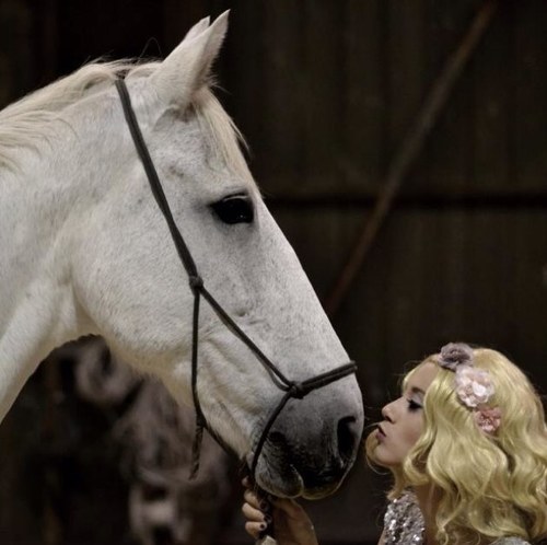 EllieOBrien9's profile picture. Ellie O'Brien Horsrmanship