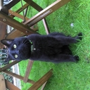 Cynthia McCabe - @mclabel - Twitter