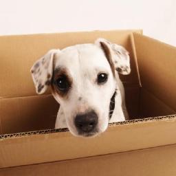 Moving Box Express. Providing Quality Moving Boxes and Packaging Supplies. Did we me mention Free Delivery?
