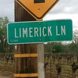 Limerick Lane