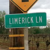 Limerick Lane (@limerick_lane) 's Twitter Profile