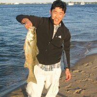 Steve Lee (@steveleeyc) 's Twitter Profile Photo Steve Lee (@steveleeyc) 's Twitter Profile Photo