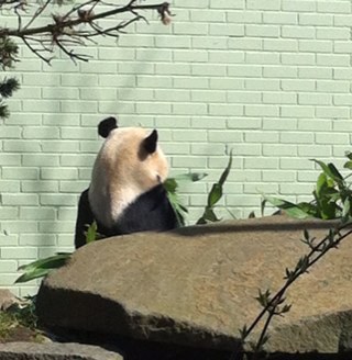 lorrainerickis's profile picture. 