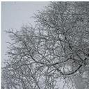 Pamela Freese - @pamela_freese - Twitter