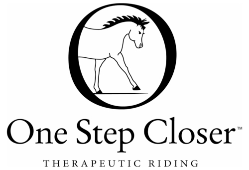 Equestrian organization using the human-horse relationship to help the rider achieve his full potential - physically, socially and spiritually.