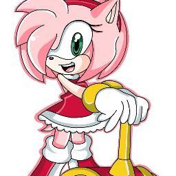 Hi!I'm Amy Rose! A hedgehog with a hammer!You get me mad,look out!Also,don't touch my Sonic!!