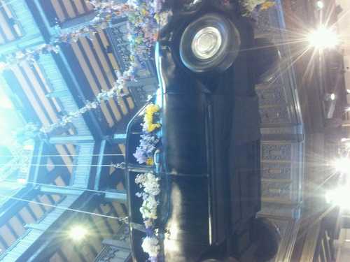 taragavin1's profile picture. 