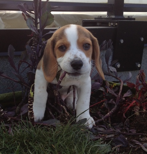 i love to shred paper, eat raw food and swim in the ocean.