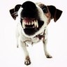 rhinojosa72's profile picture. 