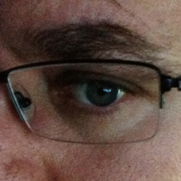 falkenrr's profile picture. 