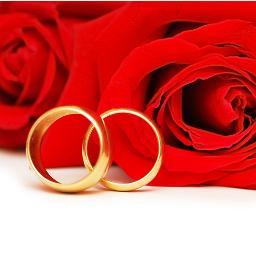 GerlsRussian's profile picture. Dating Agency!
270299 ladies are seeking a serious relationship on this site. Facebook: http://t.co/BAcqp2CiC3