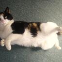 Vicky Ransom - @vicky_vampie - Twitter