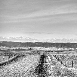 Montana Ranch Classifeds, Livestock, Real Estate, Automotive, Ranch supplies - Like our Page http://t.co/BFpSAsgOwH