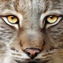 Karson Bryant - @karsonb92003 - Twitter